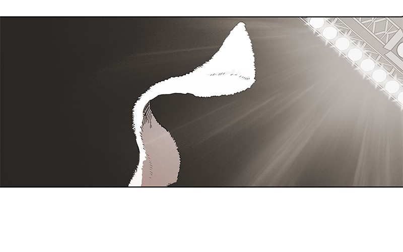 Read The Boxer (en) Manga Online