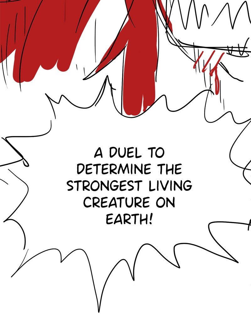 Read The Boxer (en) Manga Online
