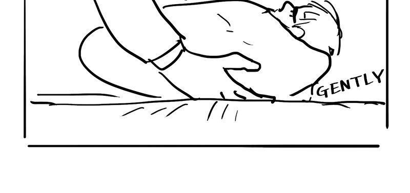 Read The Boxer (en) Manga Online