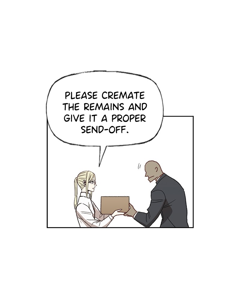 Read The Boxer (en) Manga Online