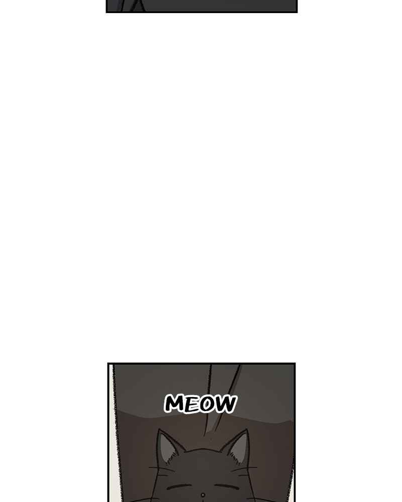 Read The Boxer (en) Manga Online