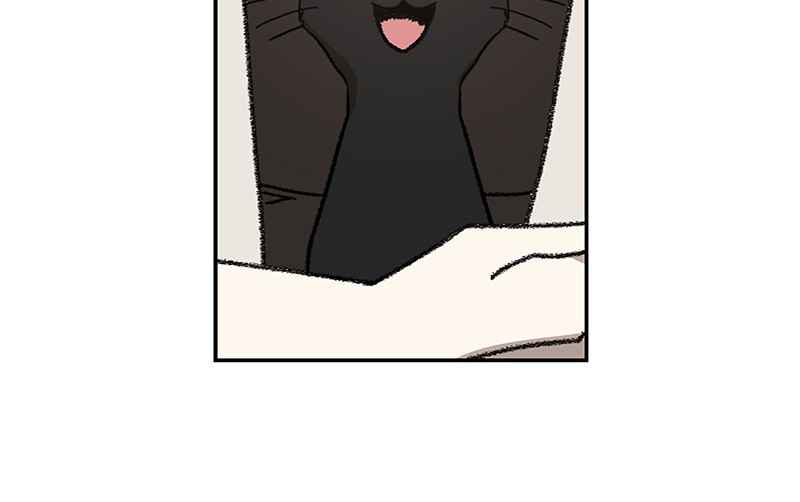 Read The Boxer (en) Manga Online