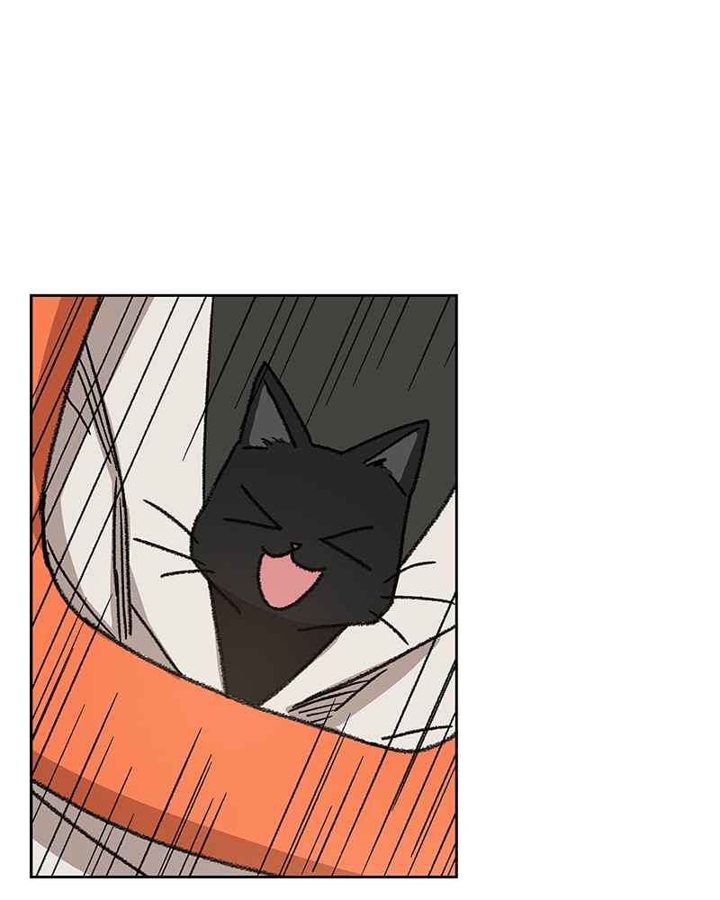 Read The Boxer (en) Manga Online