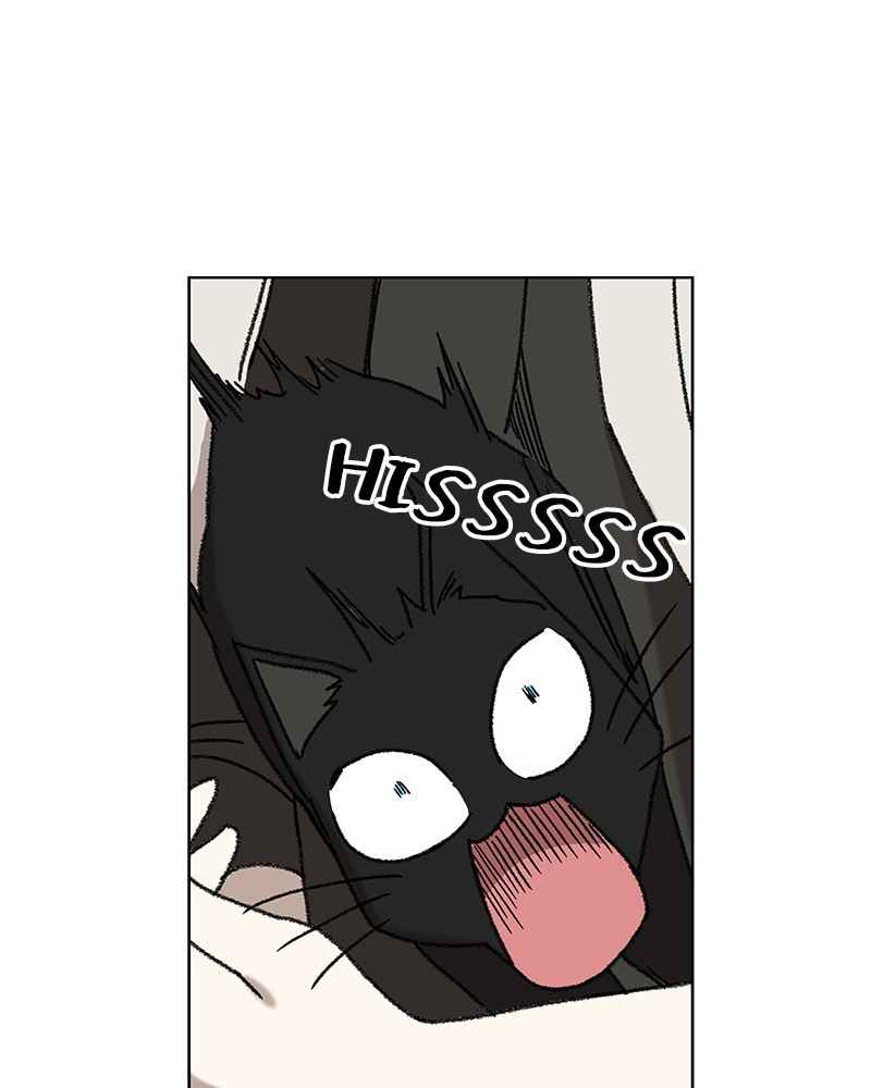 Read The Boxer (en) Manga Online