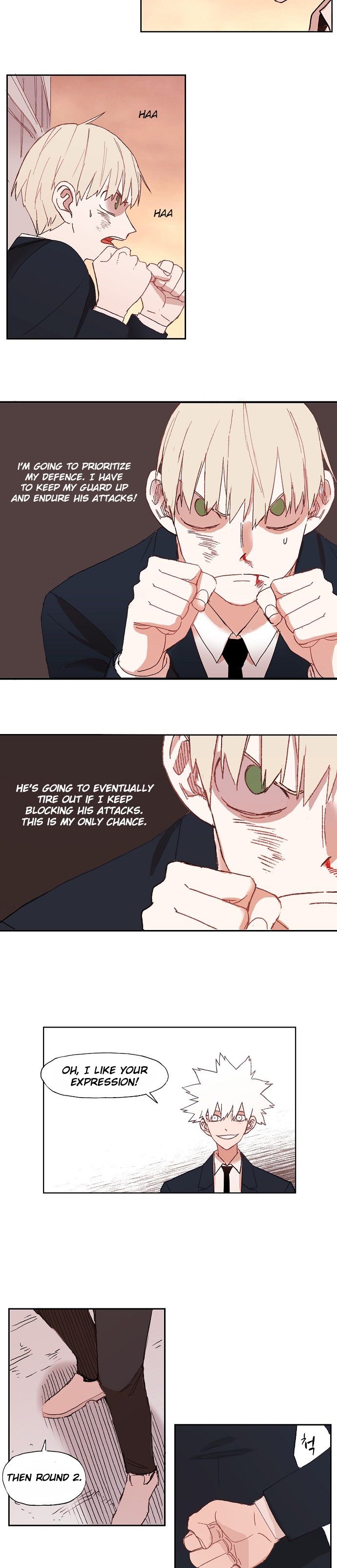 Read The Boxer (en) Manga Online