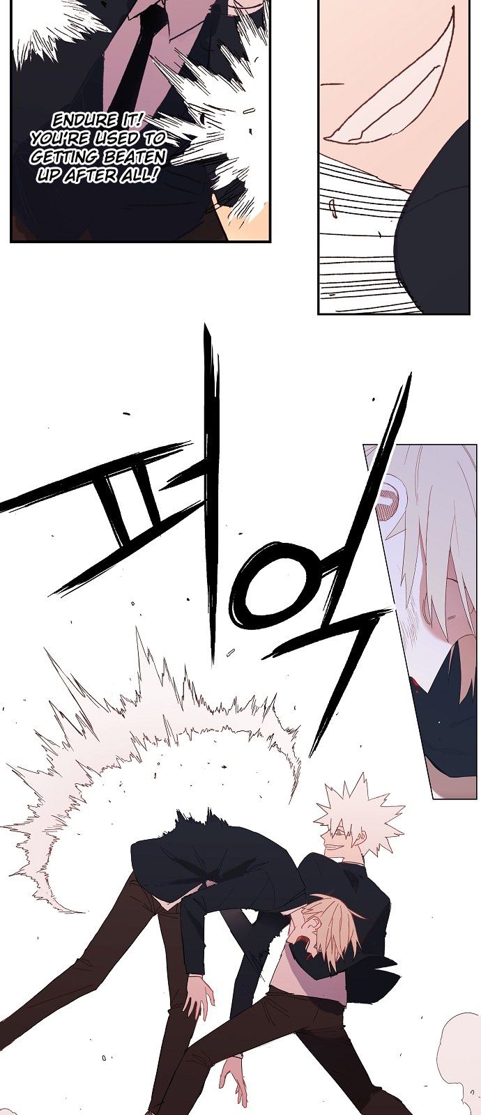 Read The Boxer (en) Manga Online