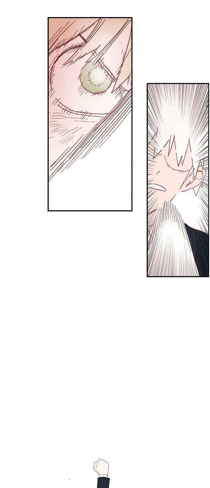 Read The Boxer (en) Manga Online