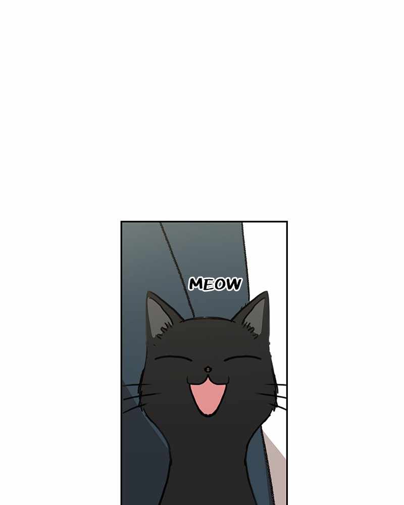 Read The Boxer (en) Manga Online