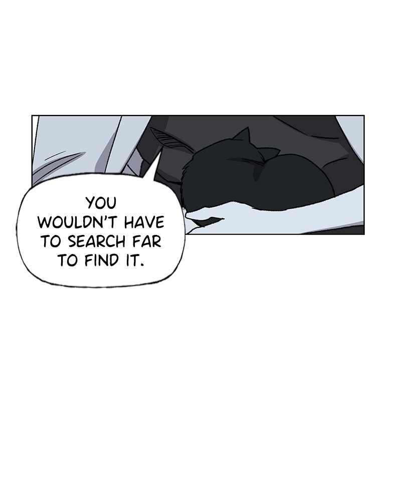 Read The Boxer (en) Manga Online