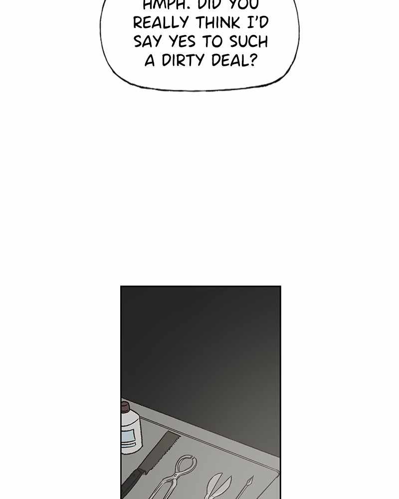 Read The Boxer (en) Manga Online