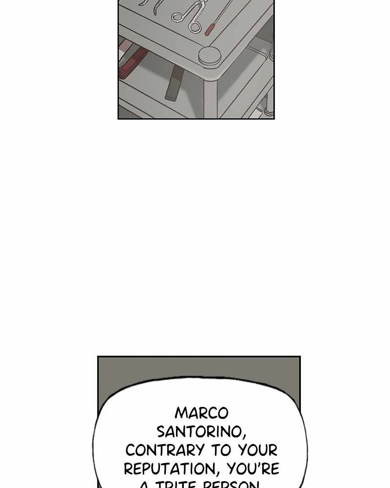 Read The Boxer (en) Manga Online