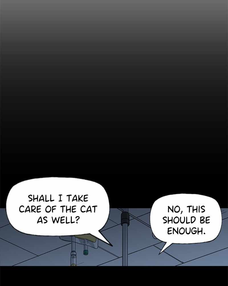 Read The Boxer (en) Manga Online