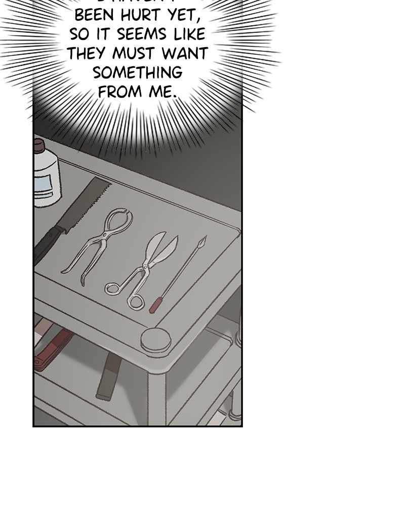 Read The Boxer (en) Manga Online
