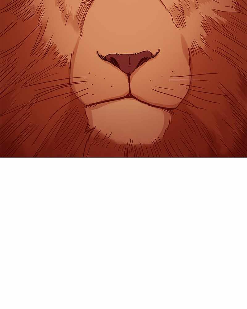 Read The Boxer (en) Manga Online