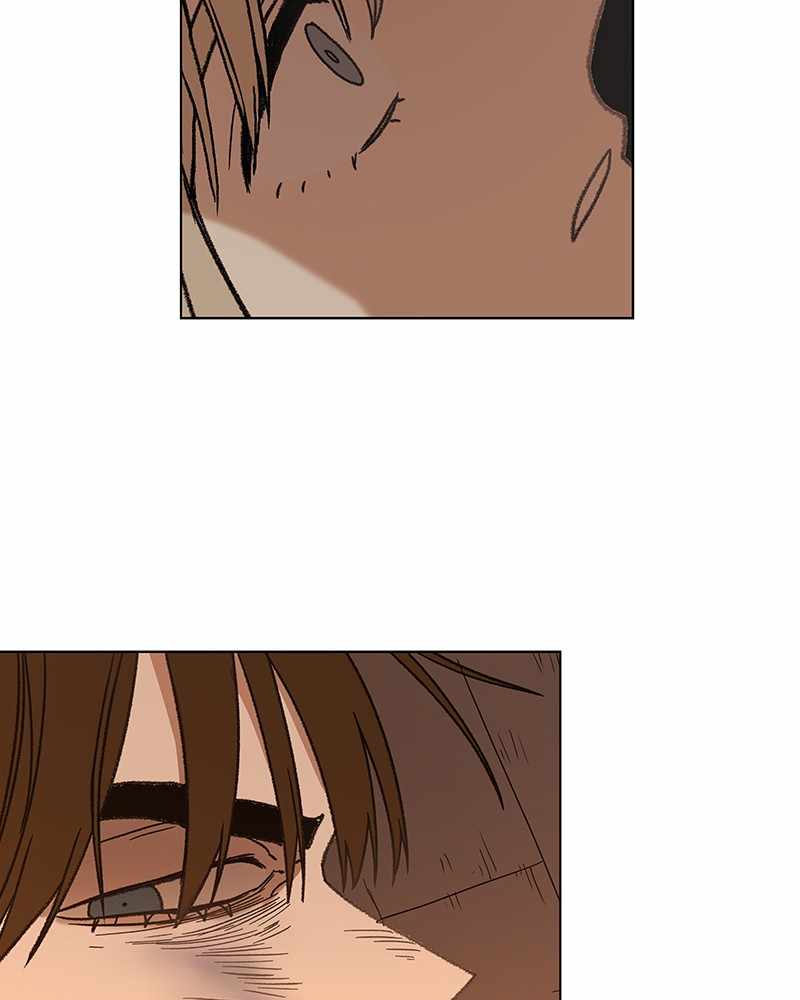 Read The Boxer (en) Manga Online