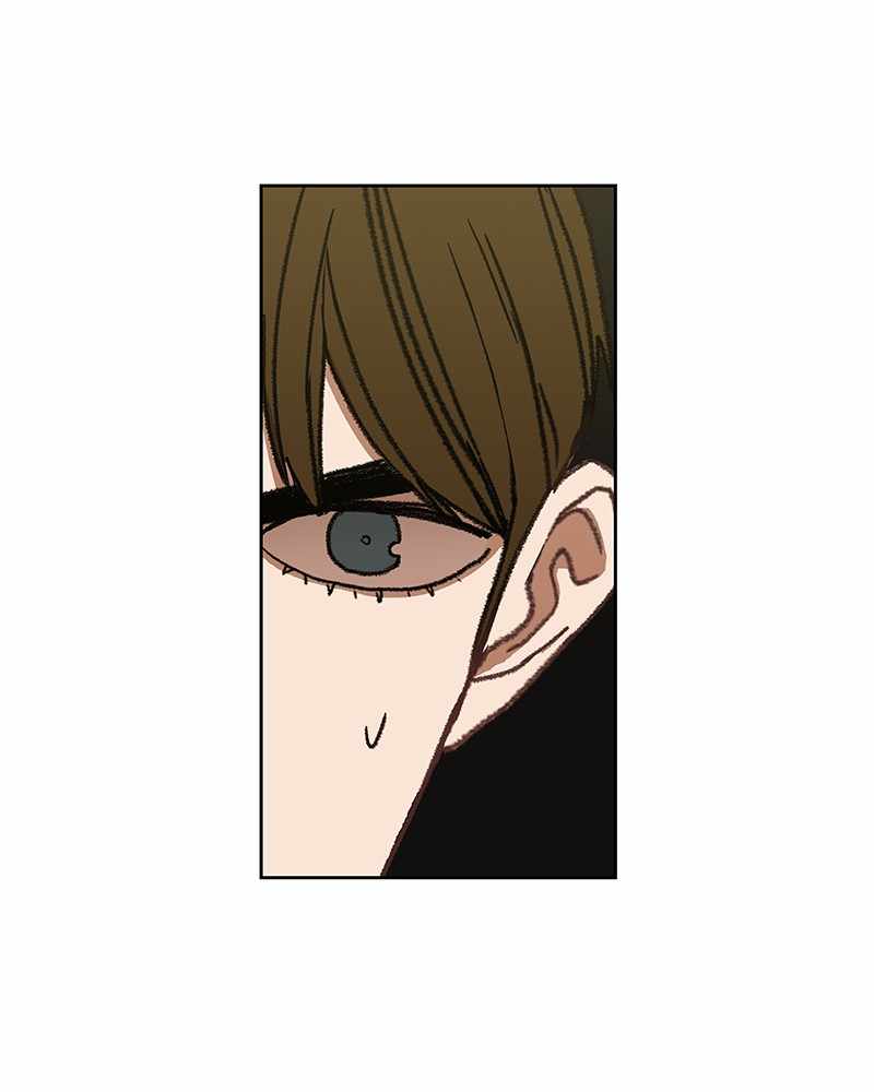 Read The Boxer (en) Manga Online