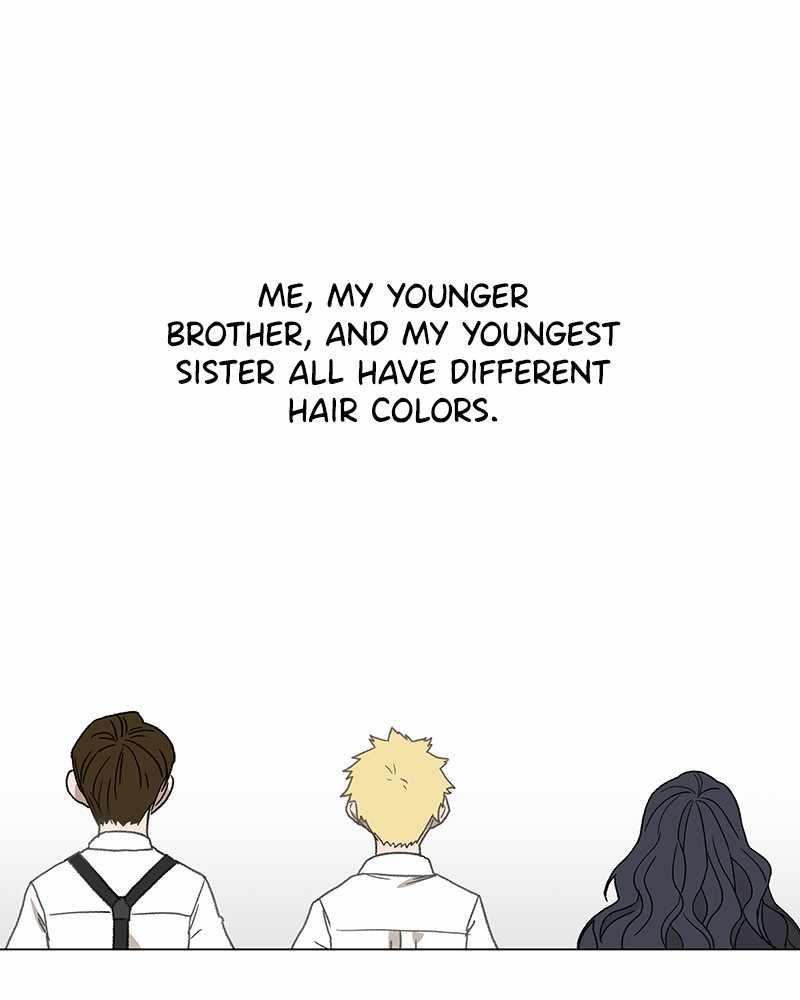 Read The Boxer (en) Manga Online