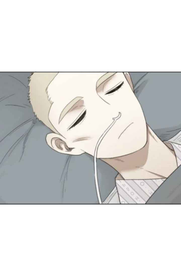 Read The Boxer (en) Manga Online