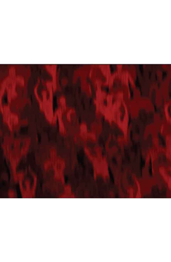 Read The Boxer (en) Manga Online