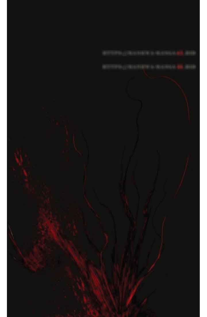 Read The Boxer (en) Manga Online