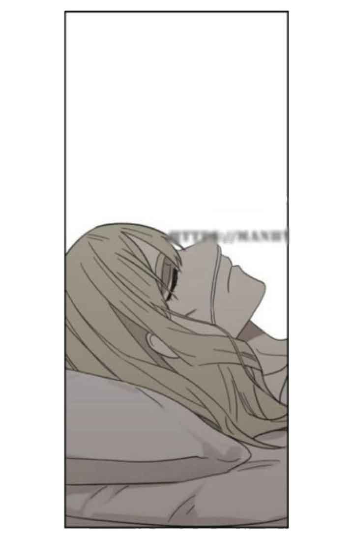 Read The Boxer (en) Manga Online