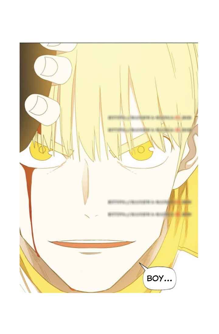 Read The Boxer (en) Manga Online