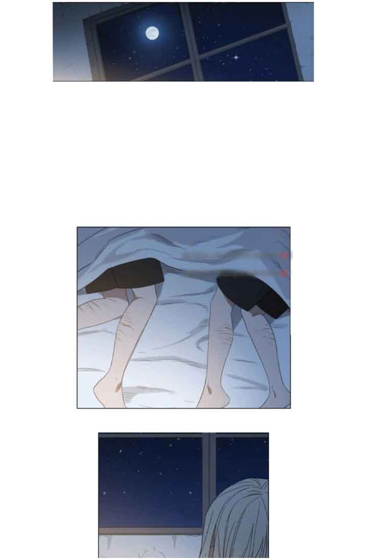 Read The Boxer (en) Manga Online