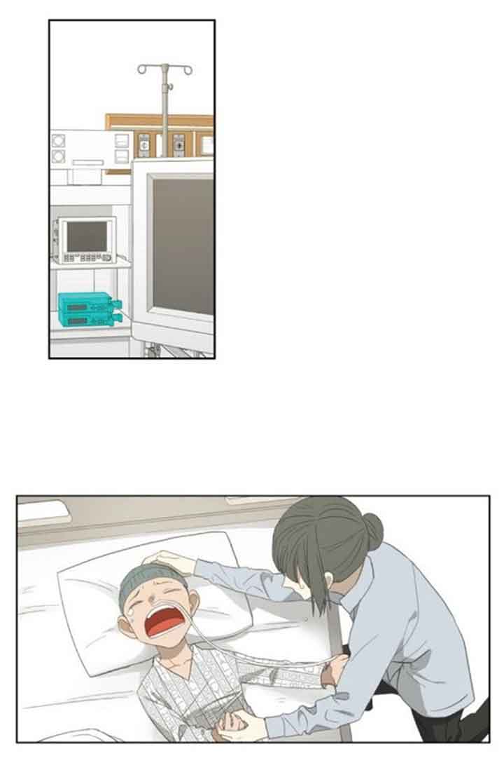 Read The Boxer (en) Manga Online