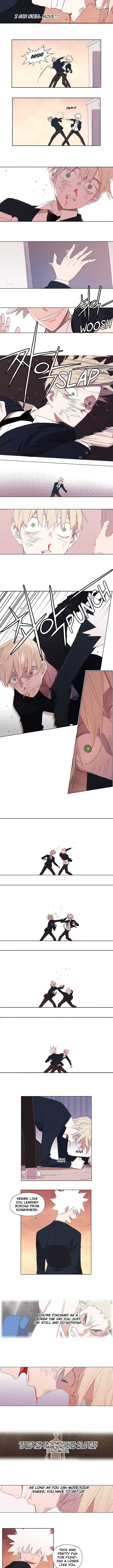 Read The Boxer (en) Manga Online