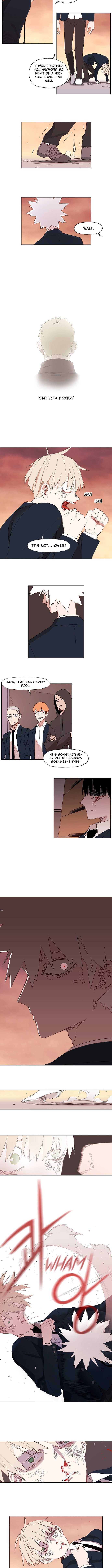 Read The Boxer (en) Manga Online