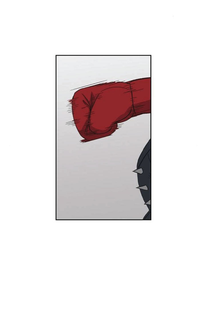 Read The Boxer (en) Manga Online