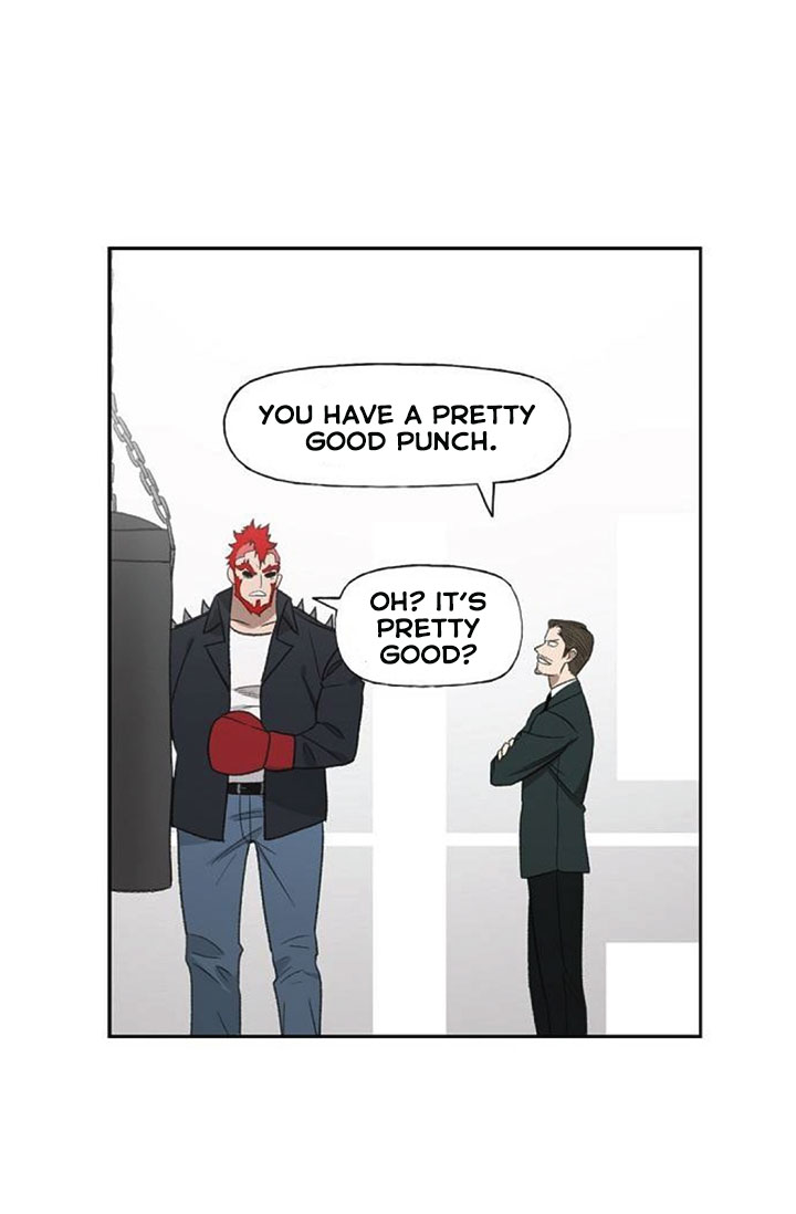 Read The Boxer (en) Manga Online