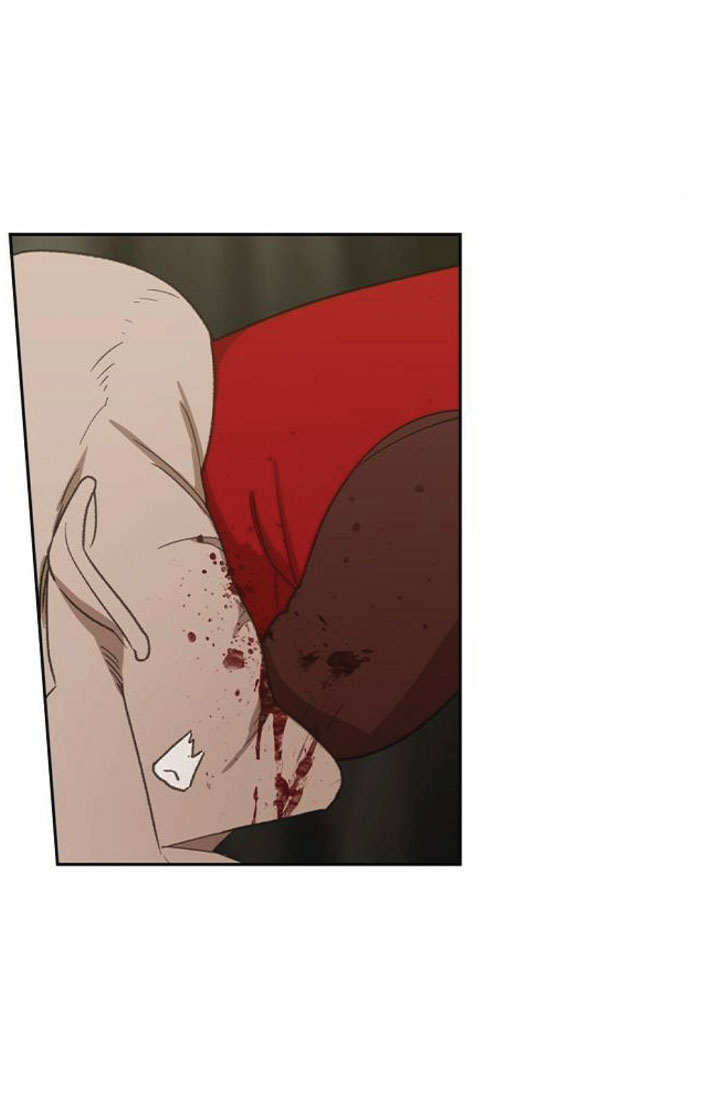 Read The Boxer (en) Manga Online