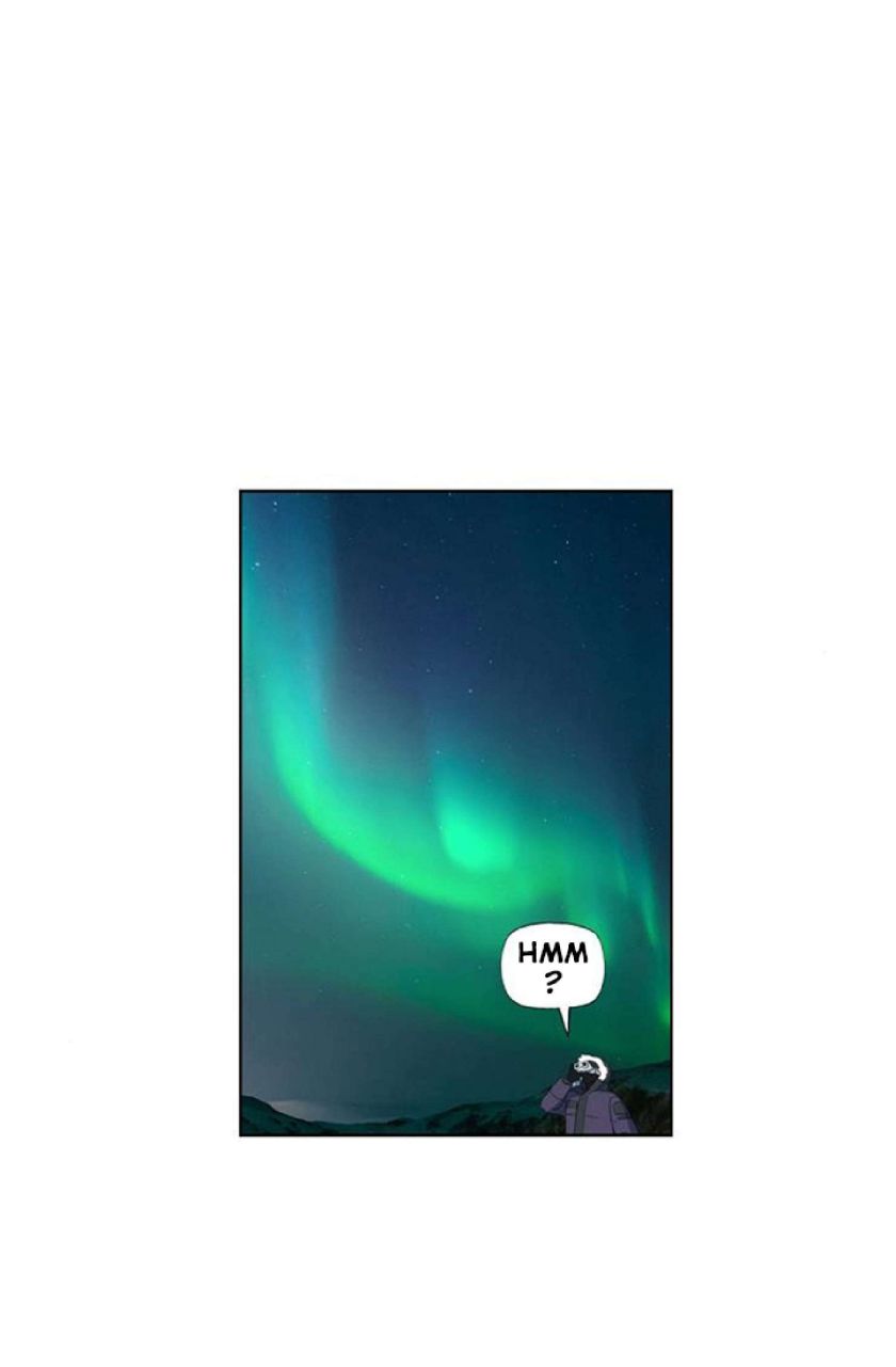 Read The Boxer (en) Manga Online