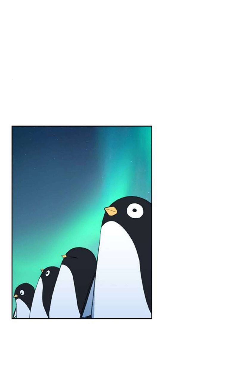 Read The Boxer (en) Manga Online