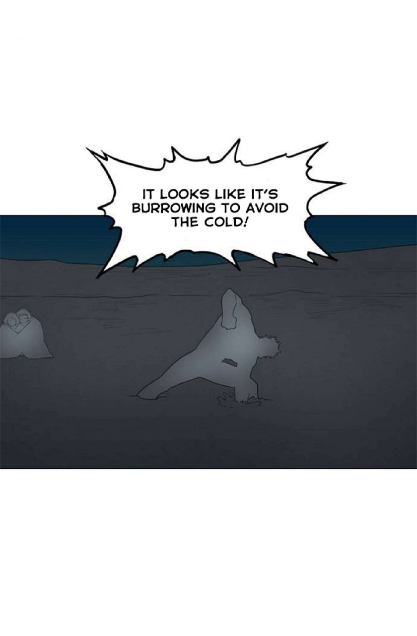 Read The Boxer (en) Manga Online