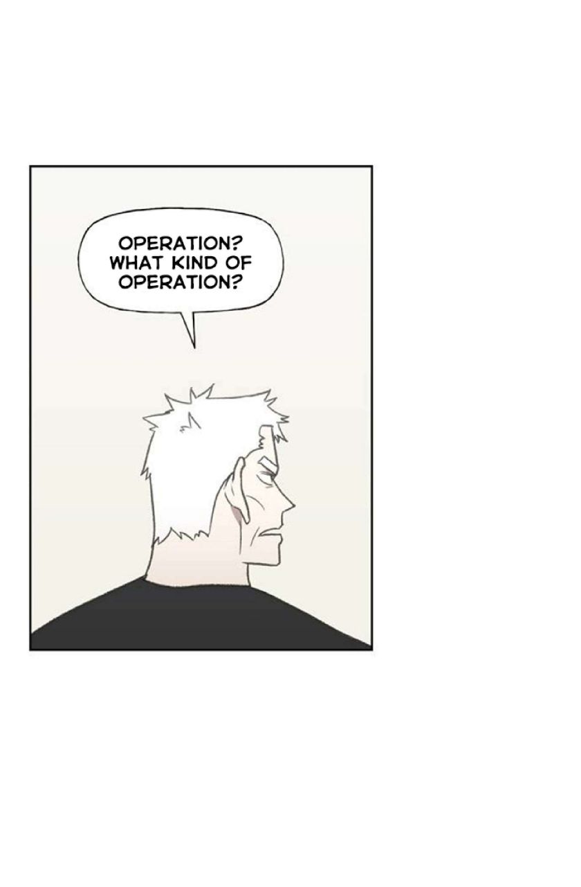 Read The Boxer (en) Manga Online