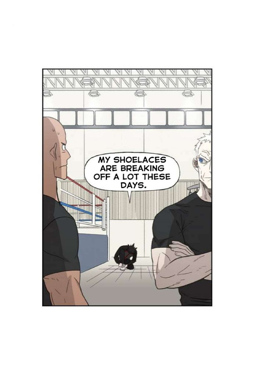 Read The Boxer (en) Manga Online