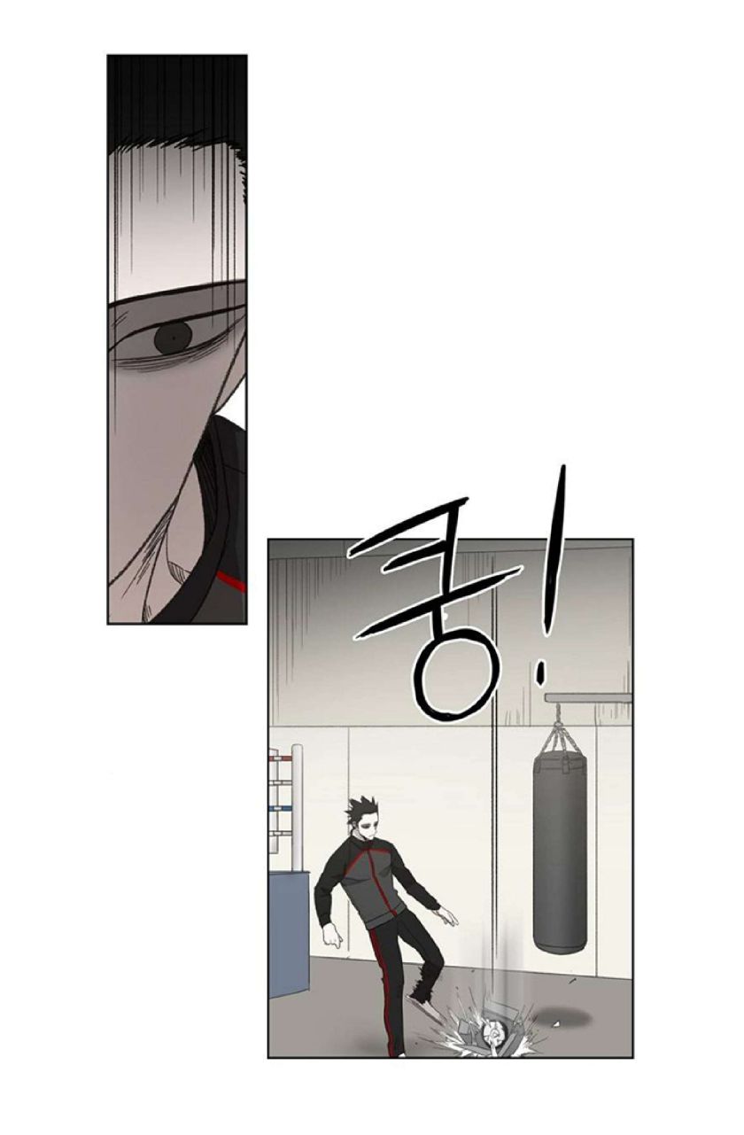 Read The Boxer (en) Manga Online