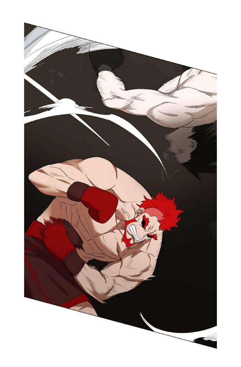 Read The Boxer (en) Manga Online