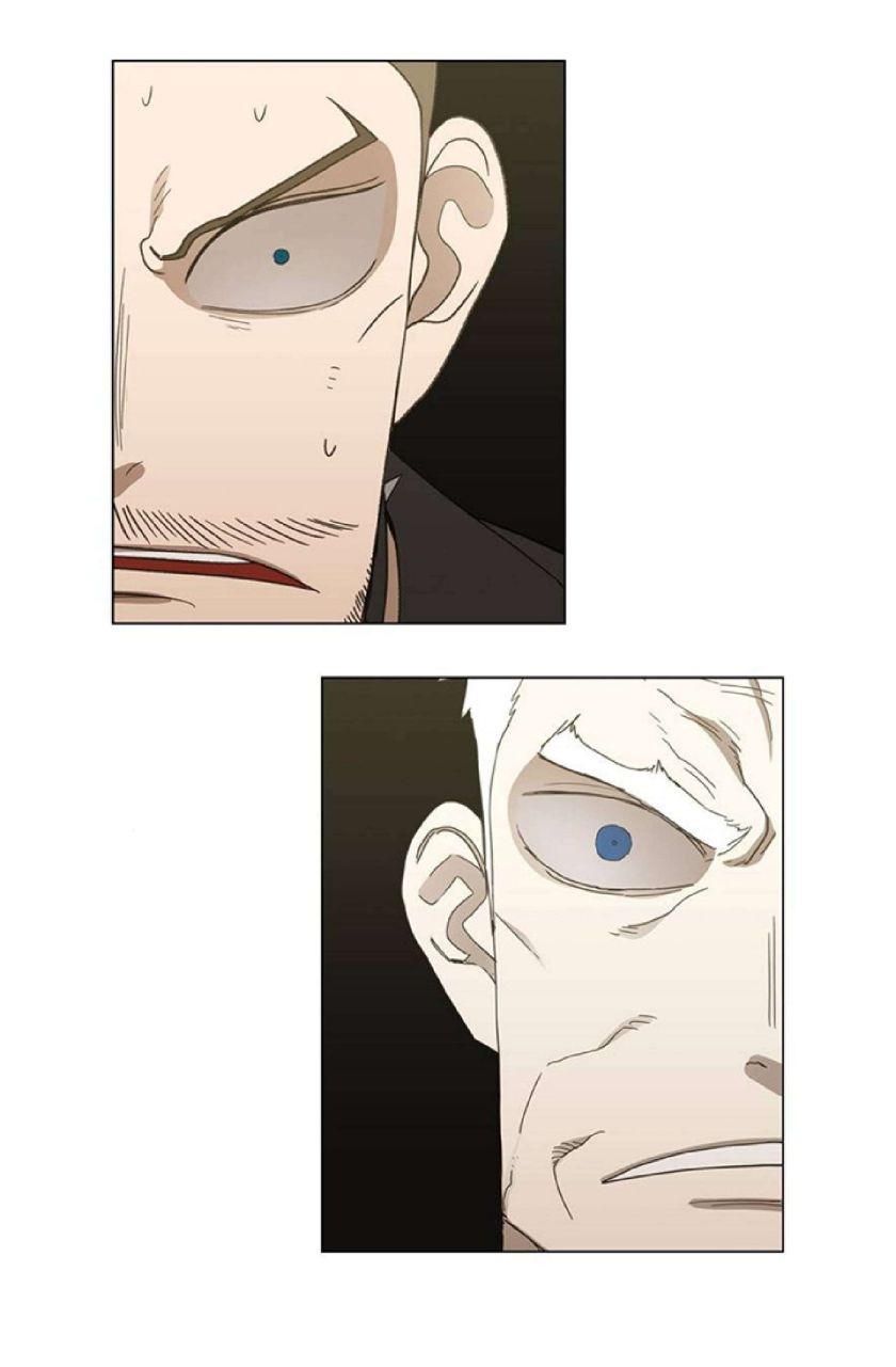 Read The Boxer (en) Manga Online