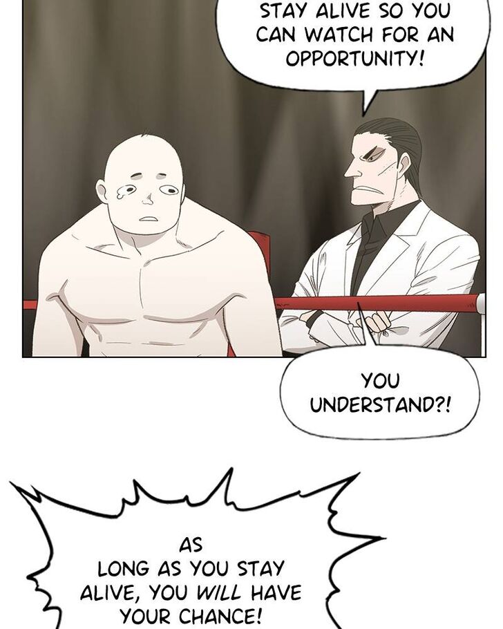 Read The Boxer (en) Manga Online