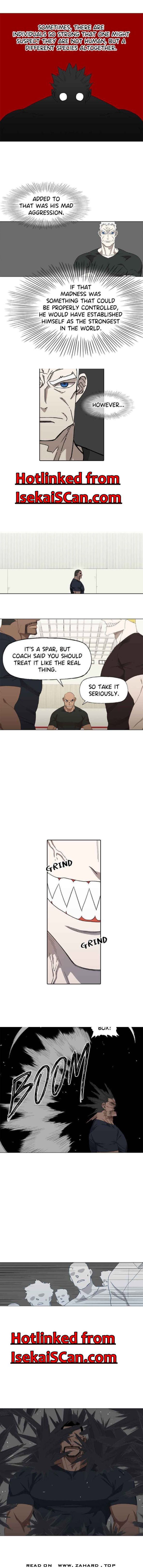 Read The Boxer (en) Manga Online