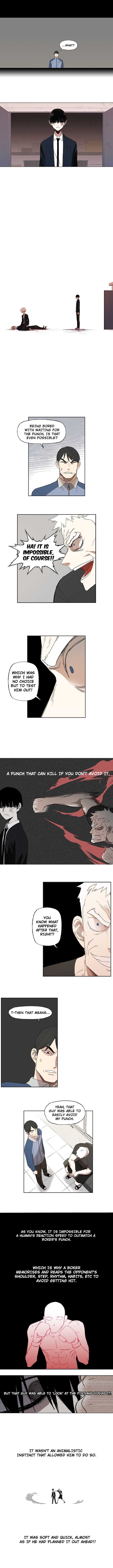 Read The Boxer (en) Manga Online