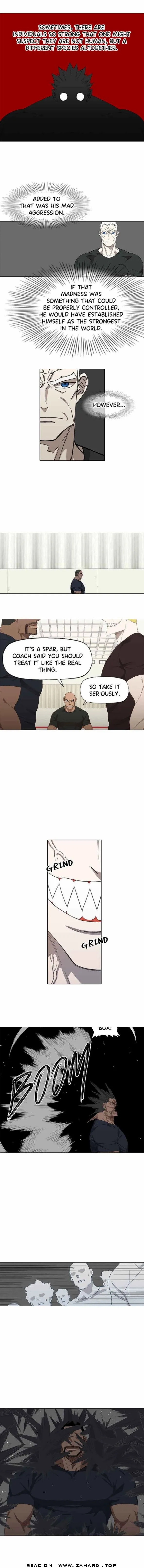 Read The Boxer (en) Manga Online