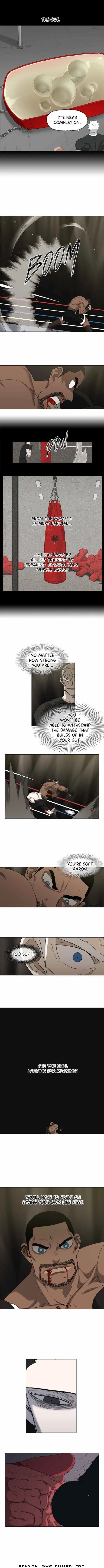 Read The Boxer (en) Manga Online