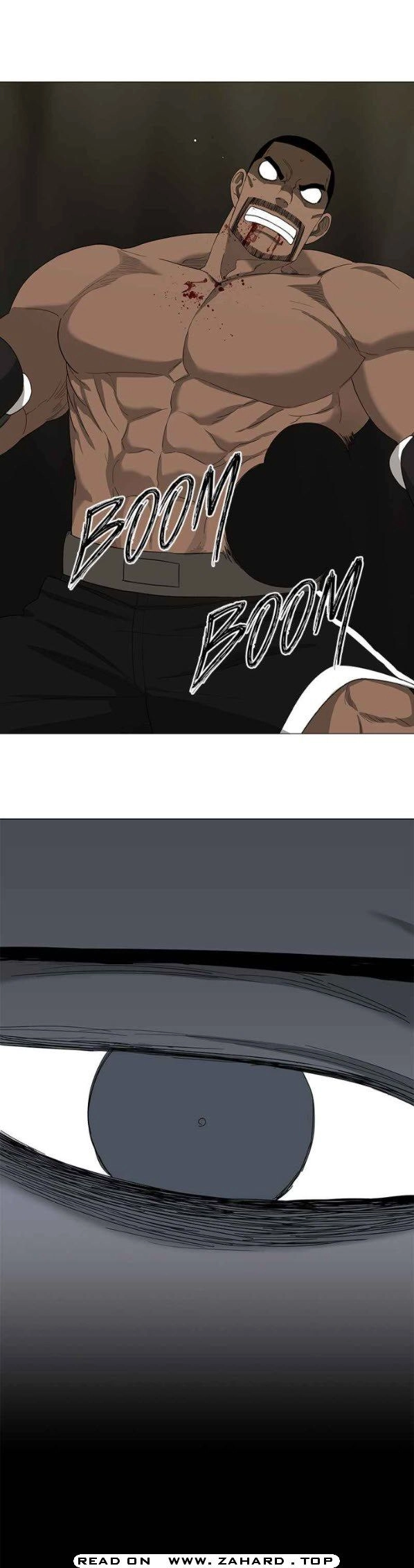 Read The Boxer (en) Manga Online