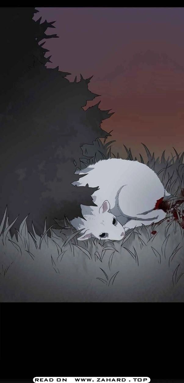 Read The Boxer (en) Manga Online