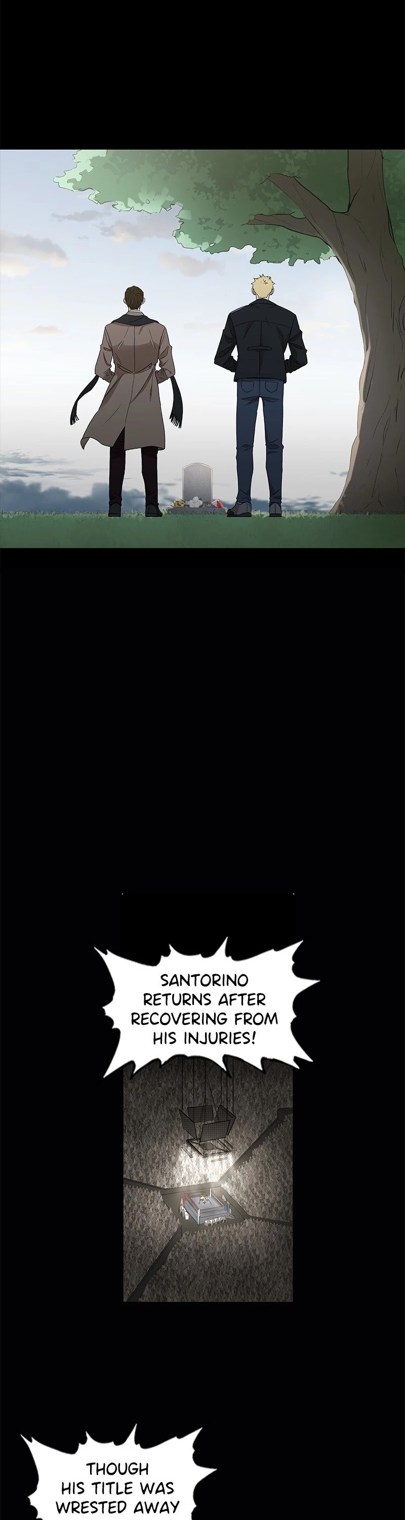 Read The Boxer (en) Manga Online