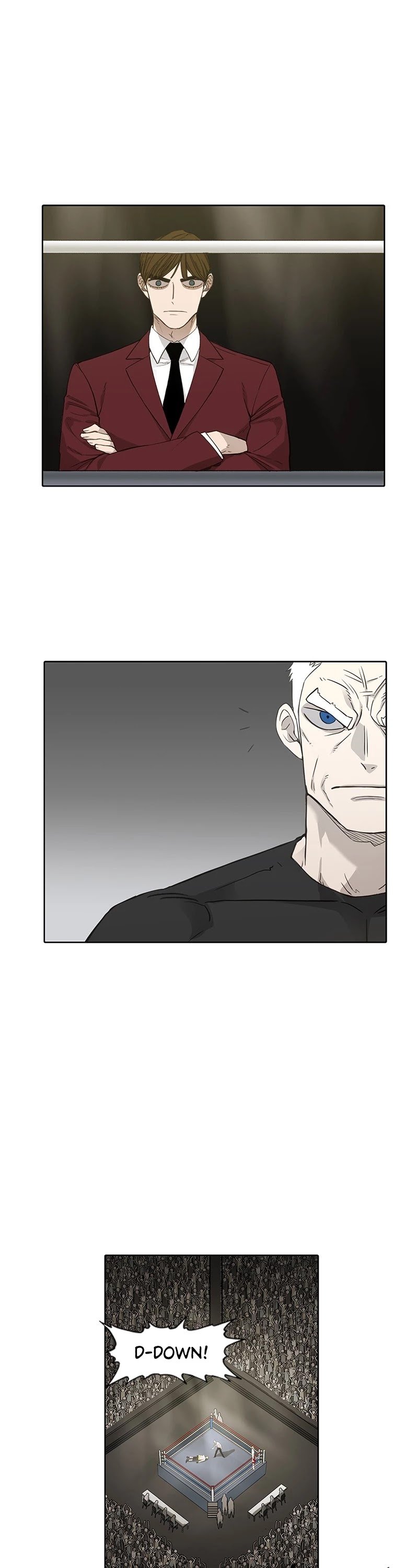 Read The Boxer (en) Manga Online